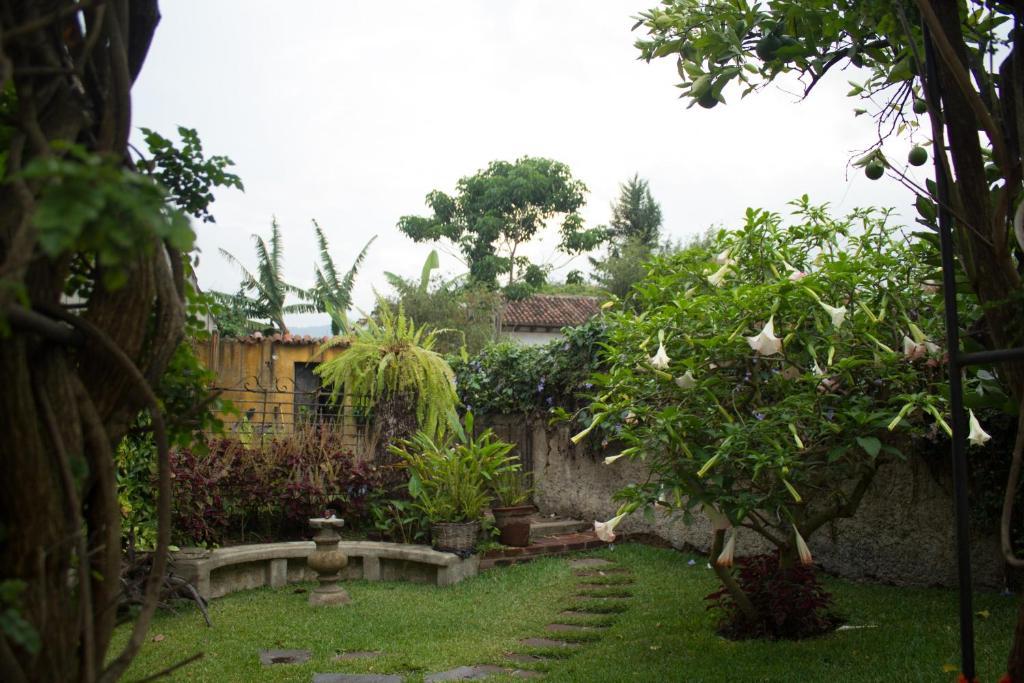 La Casa De Don Pedro Hotel Antigua ภายนอก รูปภาพ